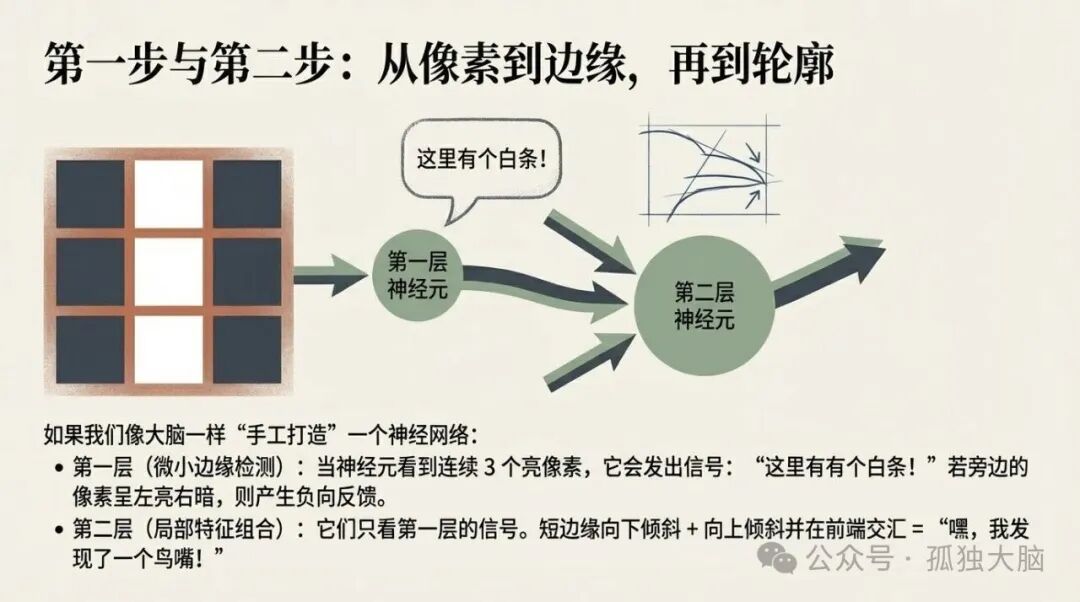 神经网络工作原理：从像素到轮廓的特征提取