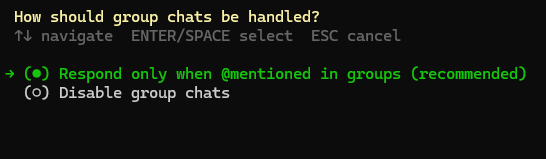 黑色背景的终端界面，显示关于群聊处理方式的选项菜单，包含标题、导航提示和两个可选项目，其中第一项被箭头和圆点标记为当前选中状态，文字颜色为绿色和白色，具有典型的命令行界面风格。