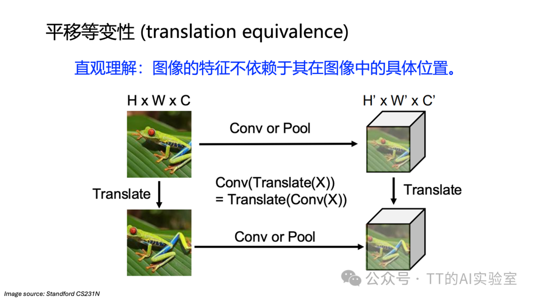 卷积与池化的平移等变性/不变性对比