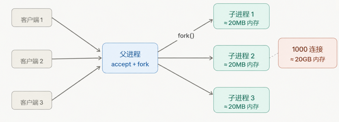 多进程并发模型架构图：父进程accept+fork派生子进程，每个子进程处理对应客户端连接，展示内存开销随连接数线性膨胀