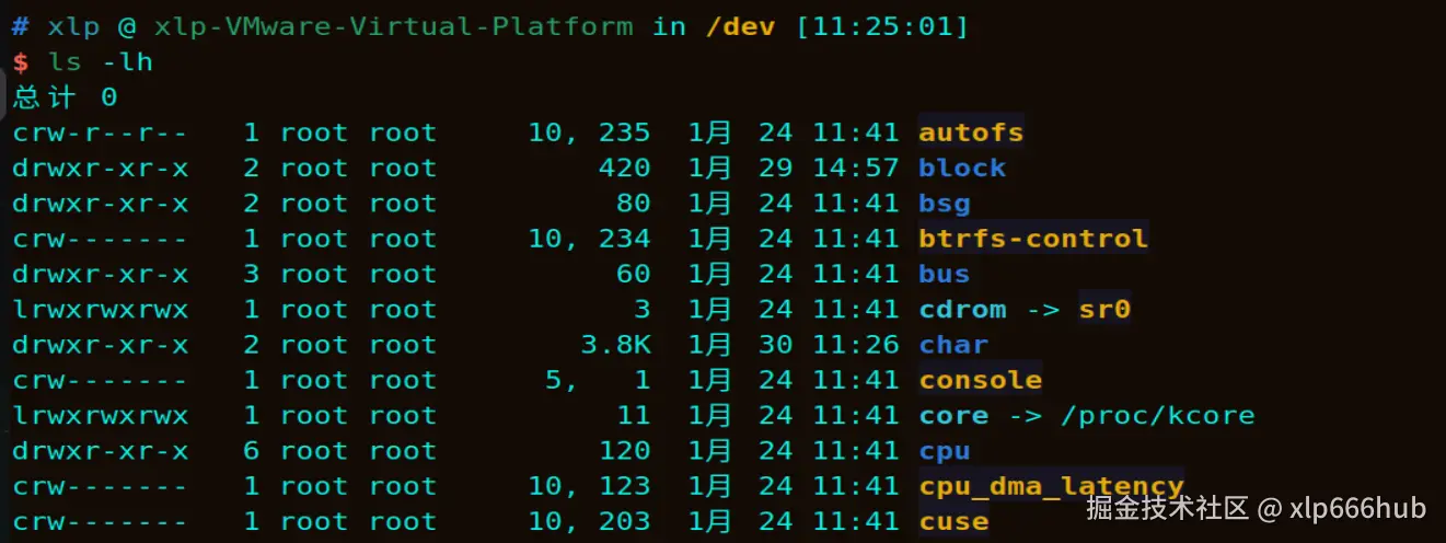 /dev 目录下的字符设备文件列表，权限列首字母为 c，展示主次设备号