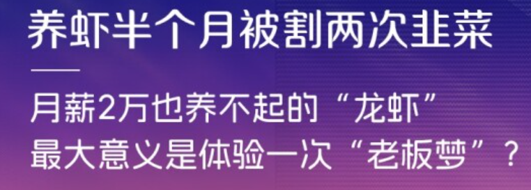 紫色背景文字图：养虾半个月被割两次韭菜，月薪2万也养不起的“龙虾”
