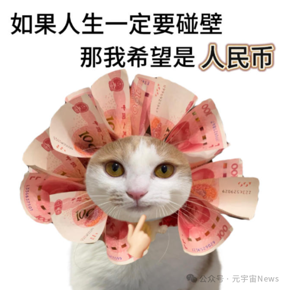 被纸币环绕的猫