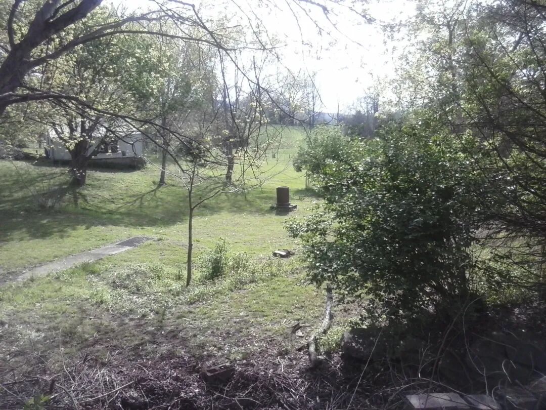 杂草丛生的农场远景