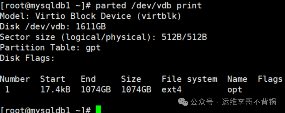 修复后parted显示的正常磁盘信息