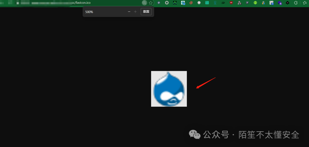 Drupal favicon.ico图标特写
