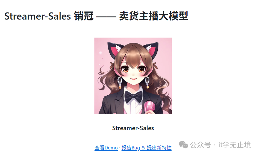 Streamer-Sales项目演示