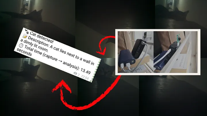 监控画面：检测到猫躺在墙边的行李箱旁