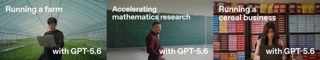 三张并列场景图,展示农场管理、数学研究、谷物生意三种GPT-5.6应用场景