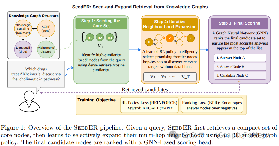 SEEDER 流水线概览:播种、扩展、排序三步框架