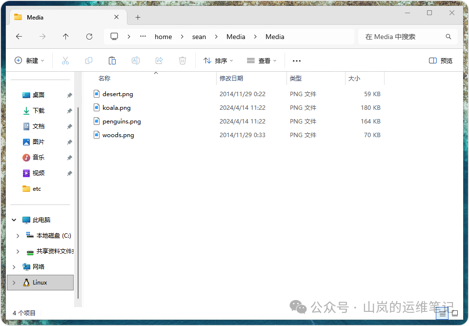 通过 Windows 文件资源管理器查看 WSL 中解压出的图片文件