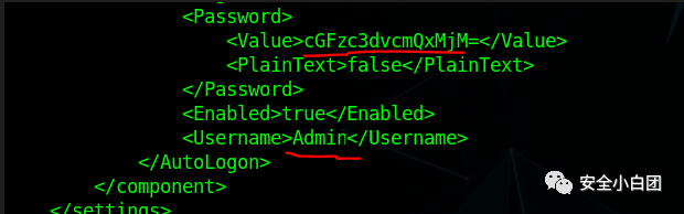 XML文件中发现了Base64编码的密码