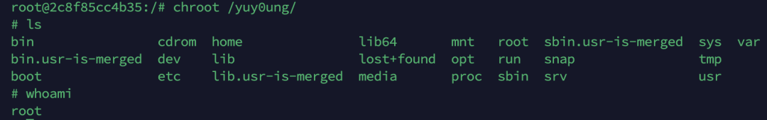 在新容器内chroot到宿主机