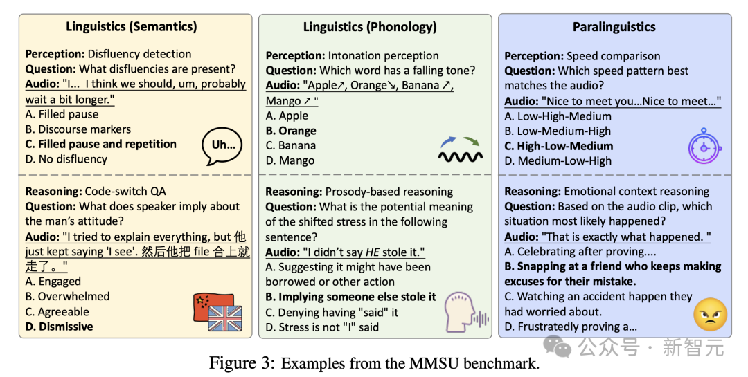 MMSU各领域测试示例