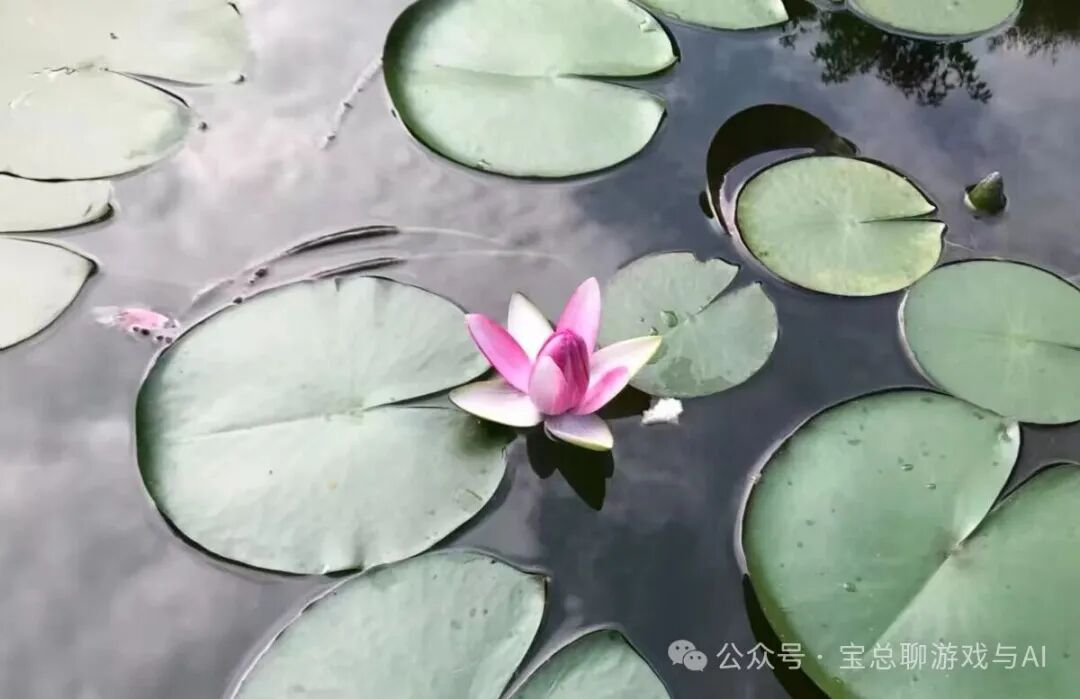 2005年前后充满希望的互联网行业景象