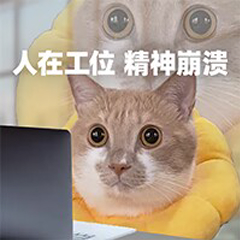猫在工位精神崩溃表情包