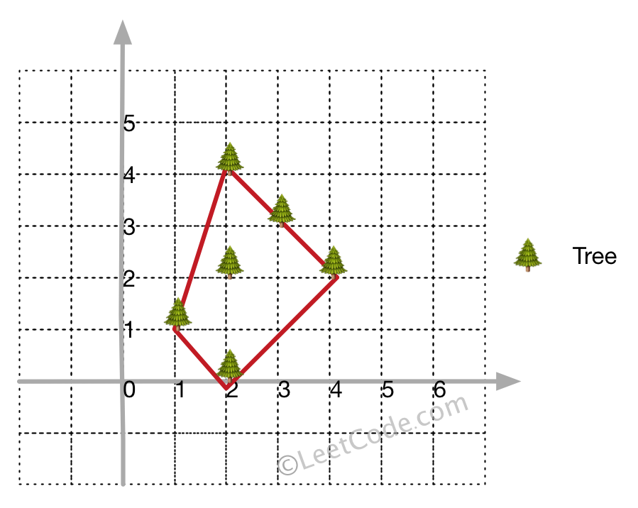 示例1的树坐标分布与凸包示意图
