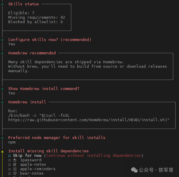 技能状态检查与依赖安装提示