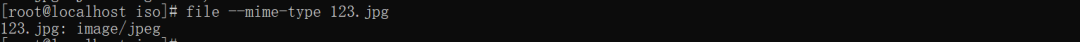 file命令--mime-type选项输出MIME类型示例