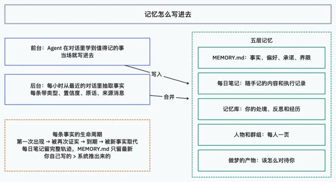 Muse 的记忆怎么写进去:前台写入、后台抽取,以及五层记忆结构