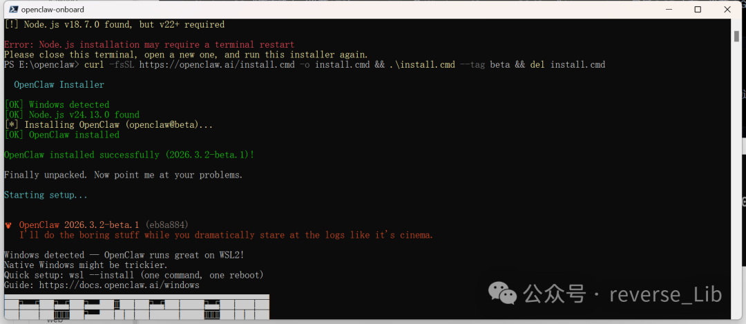 OpenClaw安装脚本执行过程截图