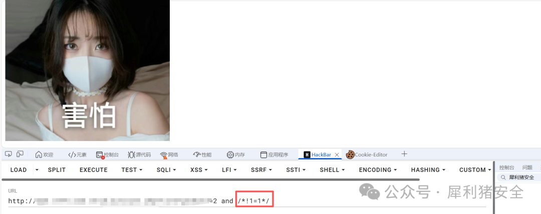 使用内联注释 `/*!1=1*/` 未被拦截