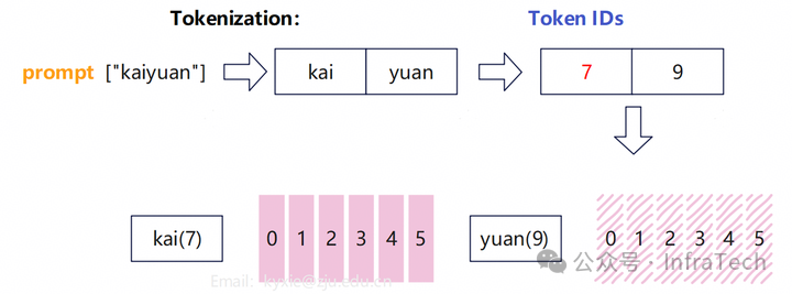 Tokenization与ID映射示意图