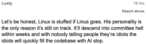 一张社交媒体评论截图,内容为对Linus离开后Linux项目命运的悲观讨论