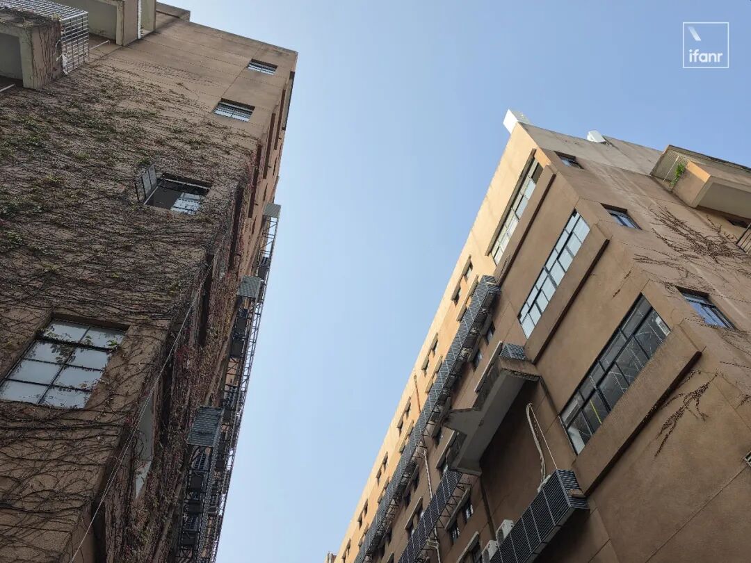 建筑外墙与爬山虎样张