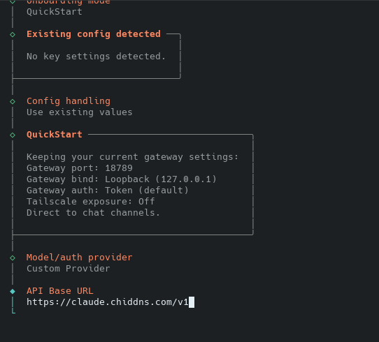 选择自定义模型提供商