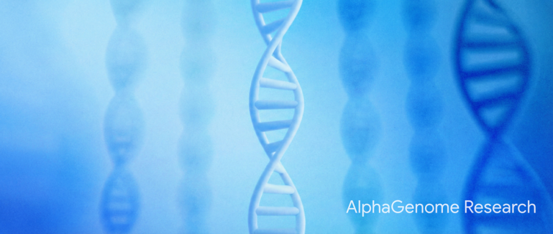 AlphaGenome Research主题DNA螺旋图