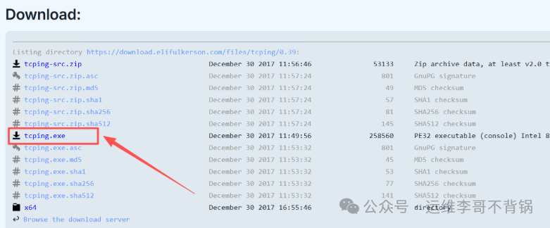 tcping.exe下载页面截图