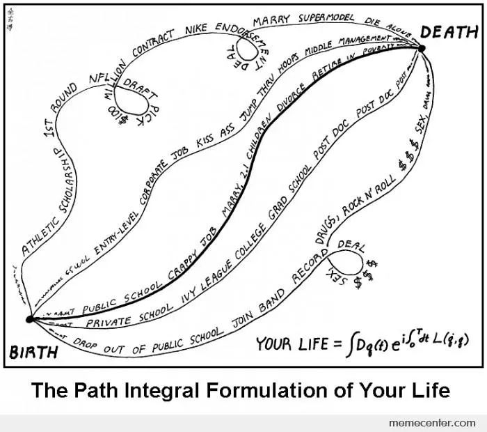 将人生比作路径积分的幽默梗图