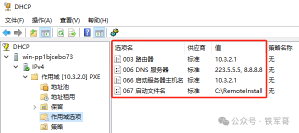 查看配置完成的DHCP作用域选项
