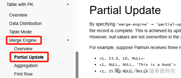 Paimon Partial Update定位