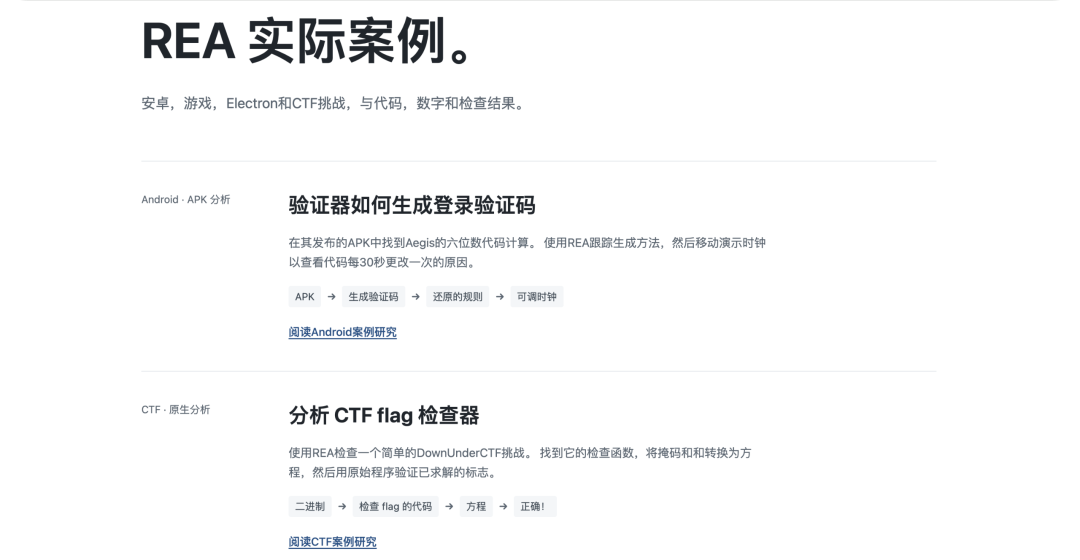 REA 实际案例页面:Aegis 验证器与 CTF 分析