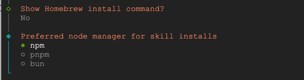选择npm作为Node.js包管理器