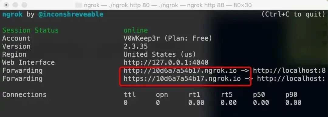ngrok 客户端运行状态界面