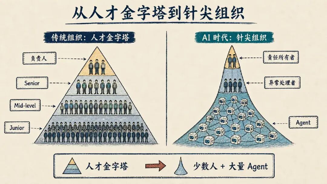 人才金字塔到针尖组织的组织结构对比