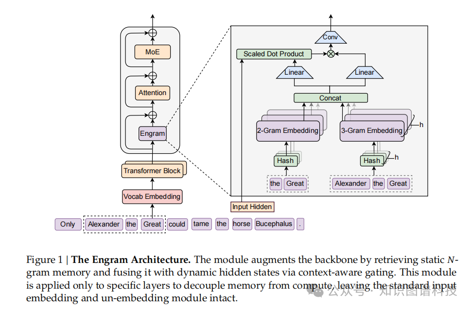 Engram架构图：通过静态N-gram记忆检索增强Transformer主干