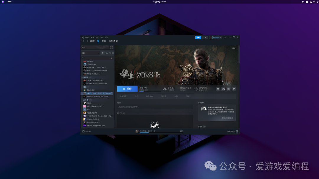 桌面版Steam界面
