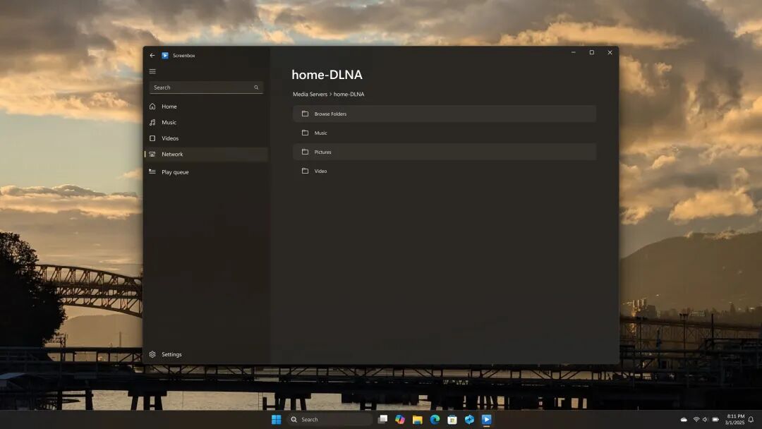 网络浏览与DLNA支持