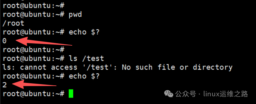 终端界面演示Linux命令退出码查询
