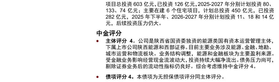 陕投集团后续投资规划与评分综述