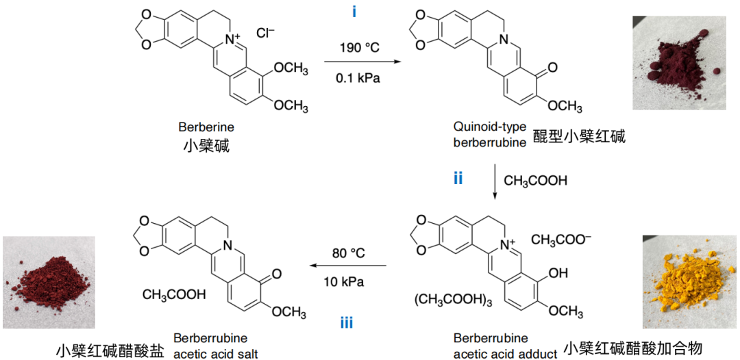 小檗红碱经化学修饰转变为水溶性化合物