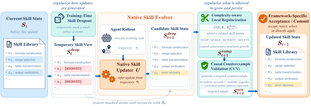 Native Skill Evolver架构流程图，展示训练时技能随机屏蔽、代理轨迹执行、候选状态生成与因果反例验证