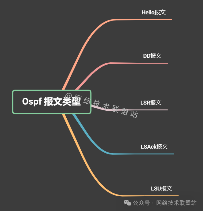 OSPF报文类型图