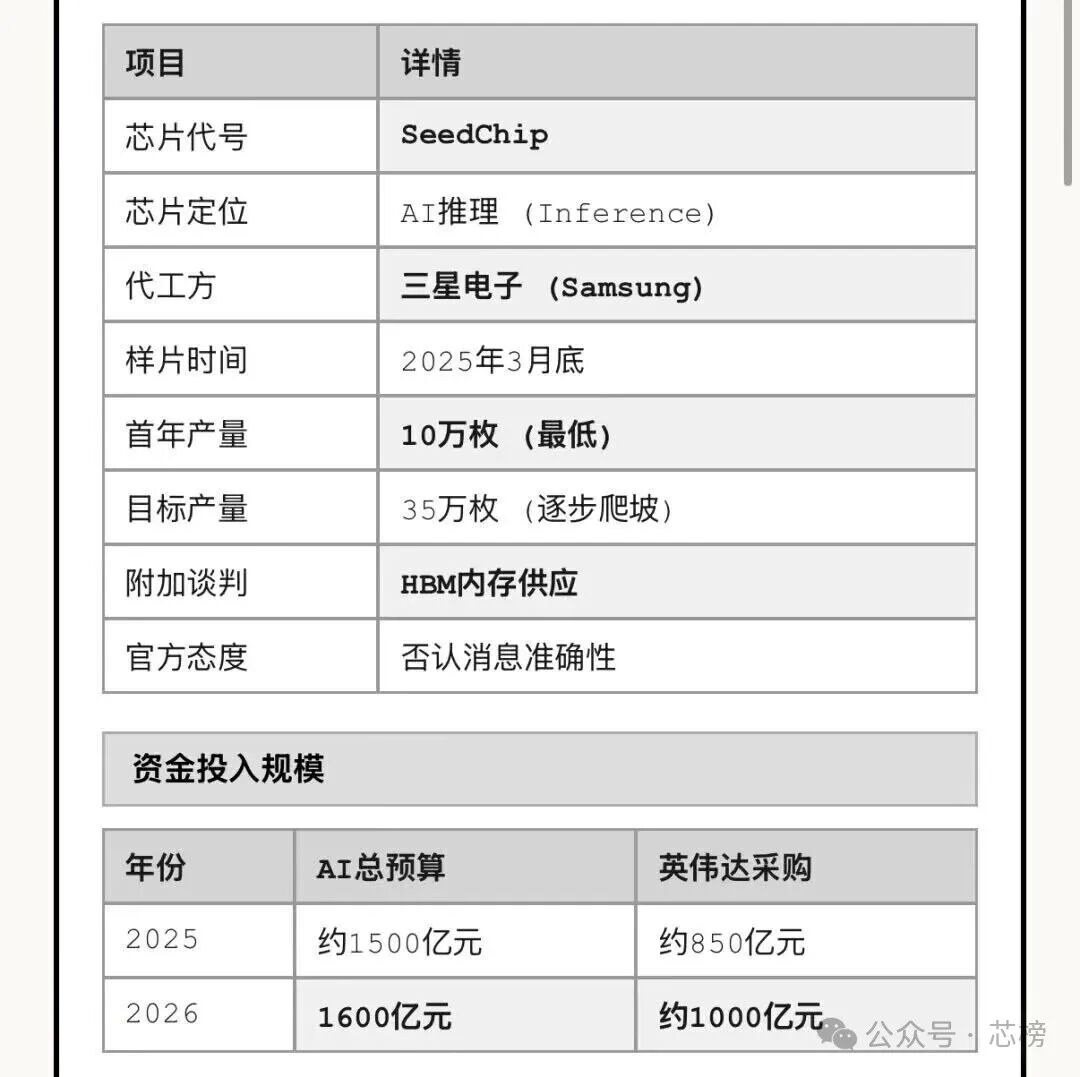 字节跳动SeedChip AI芯片项目详情与资金规划表