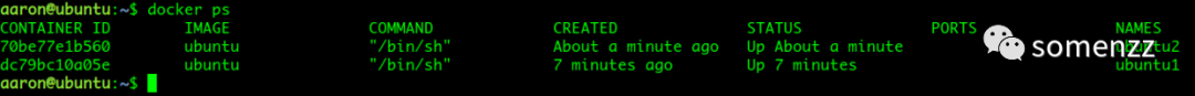 终端中执行 docker ps 查看运行中的容器